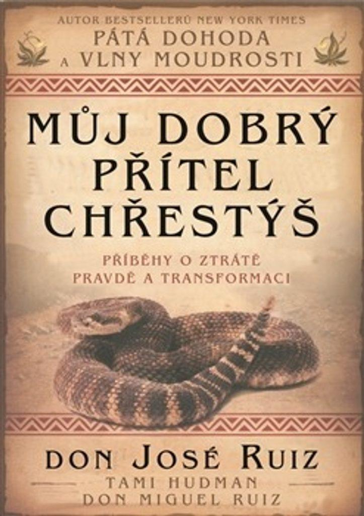 nahrávám obrázek