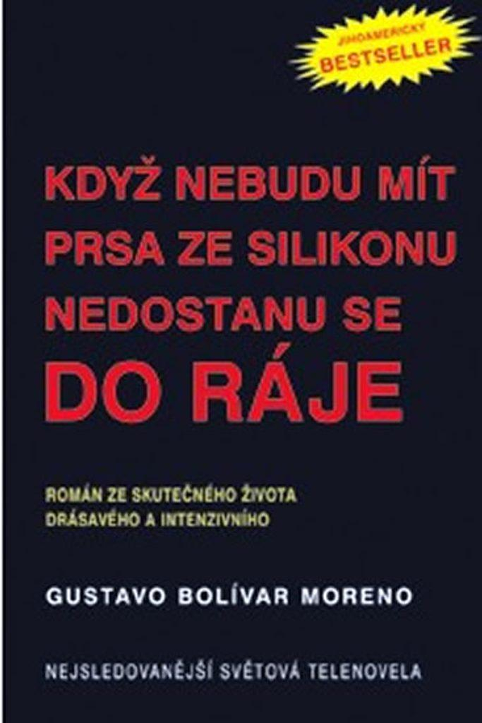 nahrávám obrázek