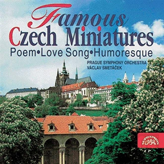 nahrávám obrázek