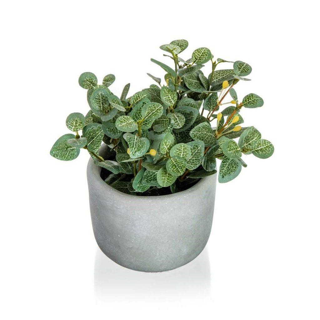 HOME DECOR Květina umělá v betonovém květináči EUCALYPTUS 19 x 18 cm