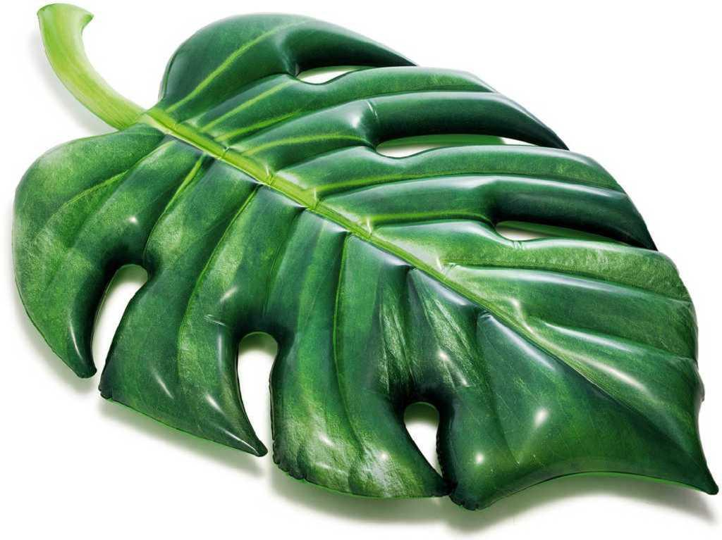 ds84440056_intex_lehatko_nafukovaci_palmovy_list_213x142cm_matrace_na_vodu_58782_3