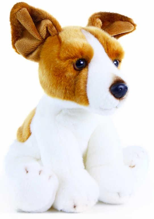 PLYŠ Pes Jack Russell teriér sedící 30cm exkluzivní kolekce *PLYŠOVÉ HRAČKY*